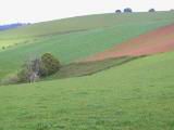 160-6089_IMG.JPG