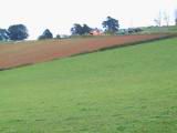 160-6090_IMG.JPG
