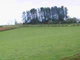 160-6091_IMG.JPG