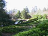 162-6204_IMG.JPG
