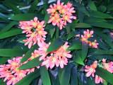 162-6250_IMG.JPG
