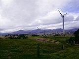 IMG_5392.JPG