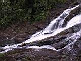 IMG_5406.JPG