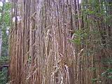 IMG_5412.JPG