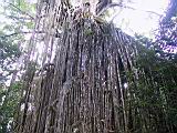 IMG_5413.JPG