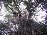 IMG_5414.JPG