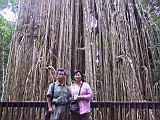 IMG_5415.JPG
