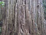 IMG_5416.JPG