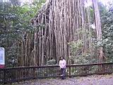 IMG_5422.JPG
