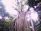 IMG_5423.JPG