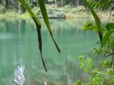 IMG_5429.JPG