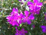 IMG_5432.JPG