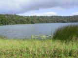 IMG_5435.JPG