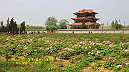 IMG_7838.JPG