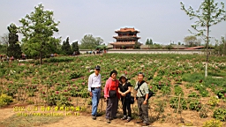IMG_7839.JPG