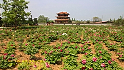 IMG_7840.JPG