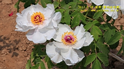 IMG_7841.JPG