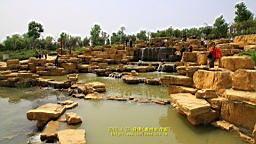 IMG_7848.JPG