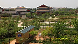 IMG_7852.JPG