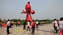 IMG_7879.JPG