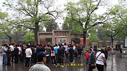 IMG_7916.JPG