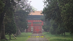 IMG_7919.JPG