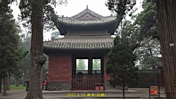 IMG_7925.JPG