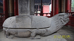 IMG_7929.JPG