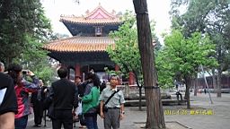 IMG_7942.JPG