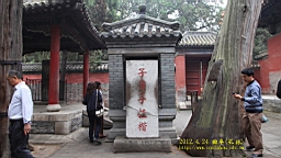 IMG_7960.JPG