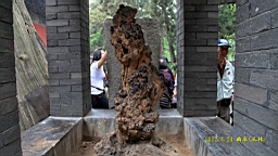 IMG_7961.JPG