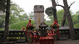 IMG_7964.JPG