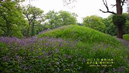 IMG_7966.JPG
