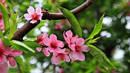 IMG_7972.JPG