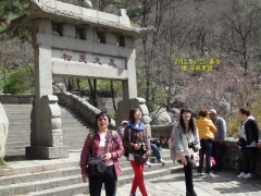 DSC00050.JPG