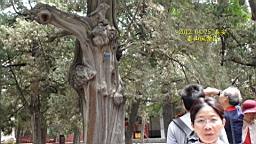 DSC00059.JPG