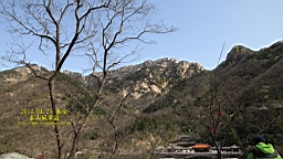 IMG_7983.JPG