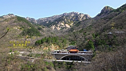 IMG_7984.JPG