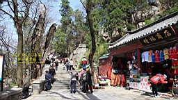 IMG_7987.JPG