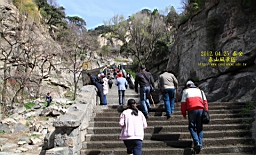 IMG_7992.JPG