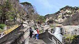 IMG_7993.JPG
