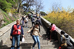 IMG_7996.JPG