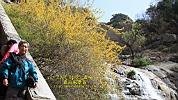 IMG_7997.JPG