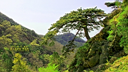 IMG_7999.JPG