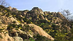 IMG_8000.JPG
