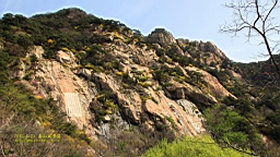IMG_8004.JPG