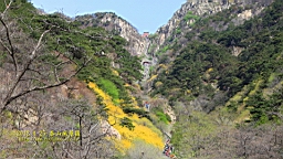 IMG_8006.JPG