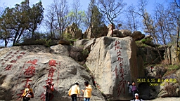 IMG_8007.JPG