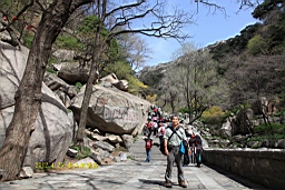 IMG_8009.JPG