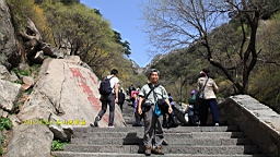 IMG_8012.JPG